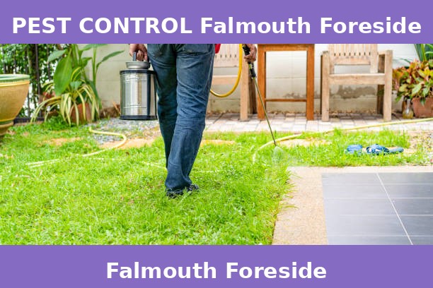 PEST CONTROL Falmouth Foreside